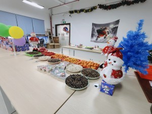 “多國風(fēng)采、別具風(fēng)格”的的圣誕節活動(dòng)